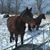 Cathleen Combs's profile image