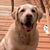 Sherri Lee's profile image