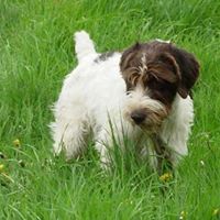 Sylvia Miller's profile image