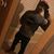 Wabbie Rob Carmichael IV's profile image
