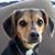 Lise Erdmann's profile image