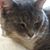 Mary Rabenstein's profile image