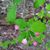 Marti Mckinney's profile image
