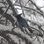 Mary Wiese's profile image