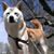 Lynn Ristau's profile image