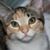 Bird Kooistra's profile image