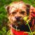 Mike Whitacre's profile image