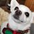 Shawna Knapp Collins's profile image