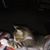Tracie Carnagey's profile image