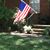 Charles E. Wheeless's profile image