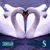 Patti Malecki's profile image
