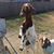 Risi Thelander's profile image