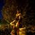 Korie Weston's profile image
