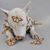 Darrick Bruyn's profile image