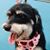 Debby Smith's profile image