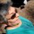 Josephine Carcia's profile image