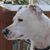 Helene Shikoff's profile image