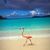Linda Dello Russo Morris's profile image