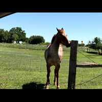 Jim D Hughes's profile image