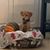 Corinne N Steve Blount's profile image