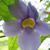 Jennifer Taylor's profile image