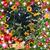 Allison Pfeifer's profile image