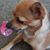 Judy Gonzalez Trober's profile image