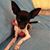 Bev O'Zee's profile image