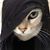 Cyndi Andrea Tamez's profile image