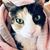 Bridget Stephenson's profile image
