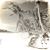 Lampara Gercar's profile image
