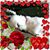 Deb Rainaldi's profile image