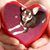 Jane Hudson Crittendon's profile image