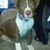 Renee Swift Johnson's profile image