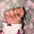 Grazia Samperi's profile image