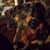 Belinda Moncur's profile image