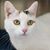 Wendy Hallam's profile image