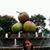 Alifiya Salma Putri's profile image