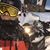 Casey Buckleitner's profile image