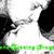 Steven Wingnut Kvamme's profile image