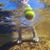 Rusty Munroe's profile image