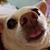 Liz Zinn's profile image
