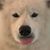 Noel Ramsey's profile image