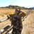 Jaynie Mello's profile image