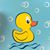 Augusta Rocha's profile image
