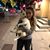 Julia Pham's profile image