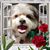 Sandy Magruder's profile image