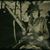Donna Marie's profile image