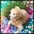 Laurie Gregory's profile image