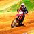 Daniel Fernandez's profile image